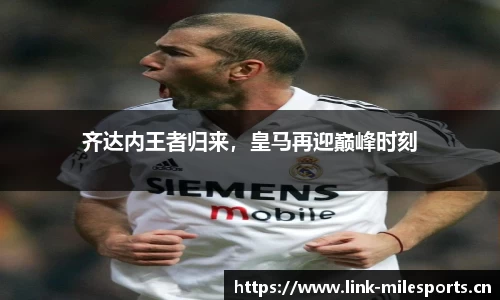米乐m6体育官方网站