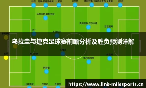 米乐m6体育